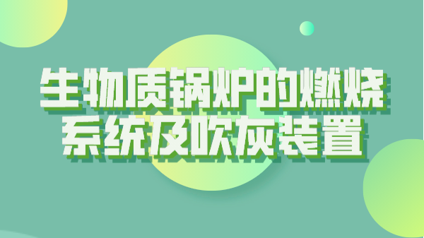 生物质锅炉的燃烧系统及吹灰装置