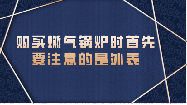 购买燃气锅炉时首先要注意的是外表